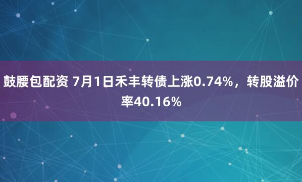 鼓腰包配资 7月1日禾丰转债上涨0.74%，转股溢价率40.16%
