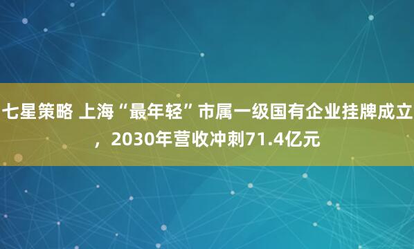 七星策略 上海“最年轻”市属一级国有企业挂牌成立，2030年营收冲刺71.4亿元