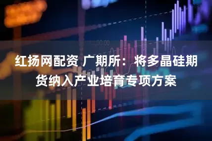 红扬网配资 广期所：将多晶硅期货纳入产业培育专项方案