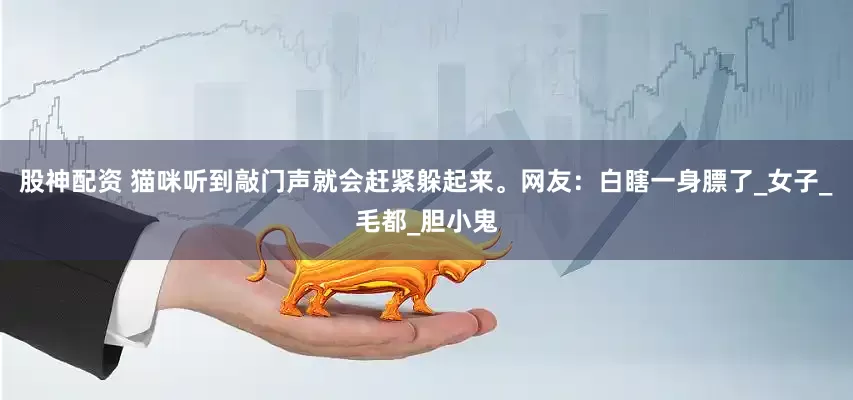 股神配资 猫咪听到敲门声就会赶紧躲起来。网友：白瞎一身膘了_女子_毛都_胆小鬼
