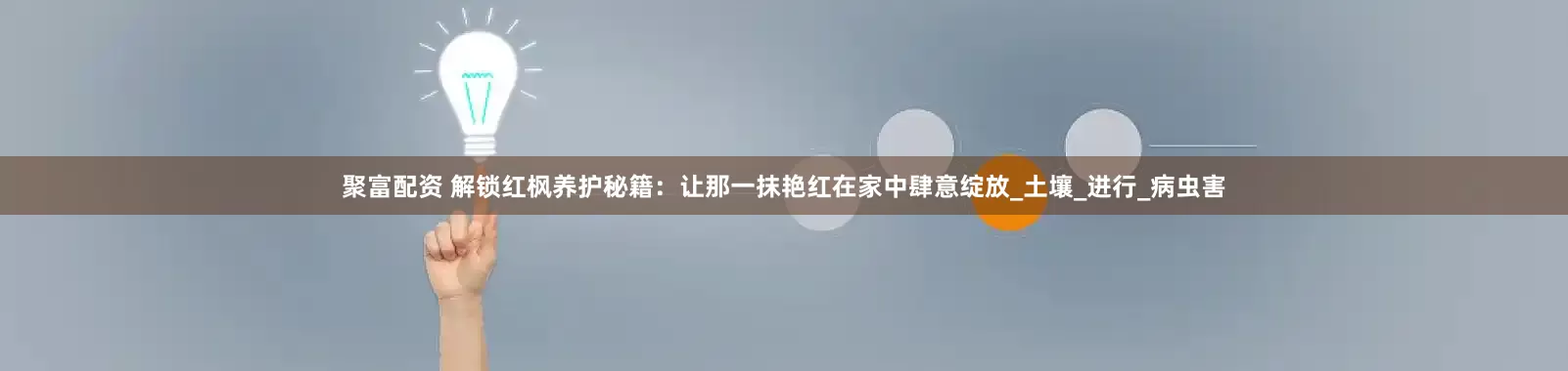 聚富配资 解锁红枫养护秘籍：让那一抹艳红在家中肆意绽放_土壤_进行_病虫害