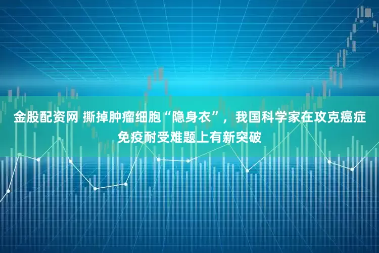 金股配资网 撕掉肿瘤细胞“隐身衣”，我国科学家在攻克癌症免疫耐受难题上有新突破