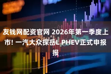友钱网配资官网 2026年第一季度上市! 一汽大众探岳L PHEV正式申报