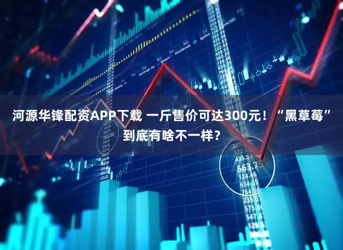 河源华锋配资APP下载 一斤售价可达300元！“黑草莓”到底有啥不一样？